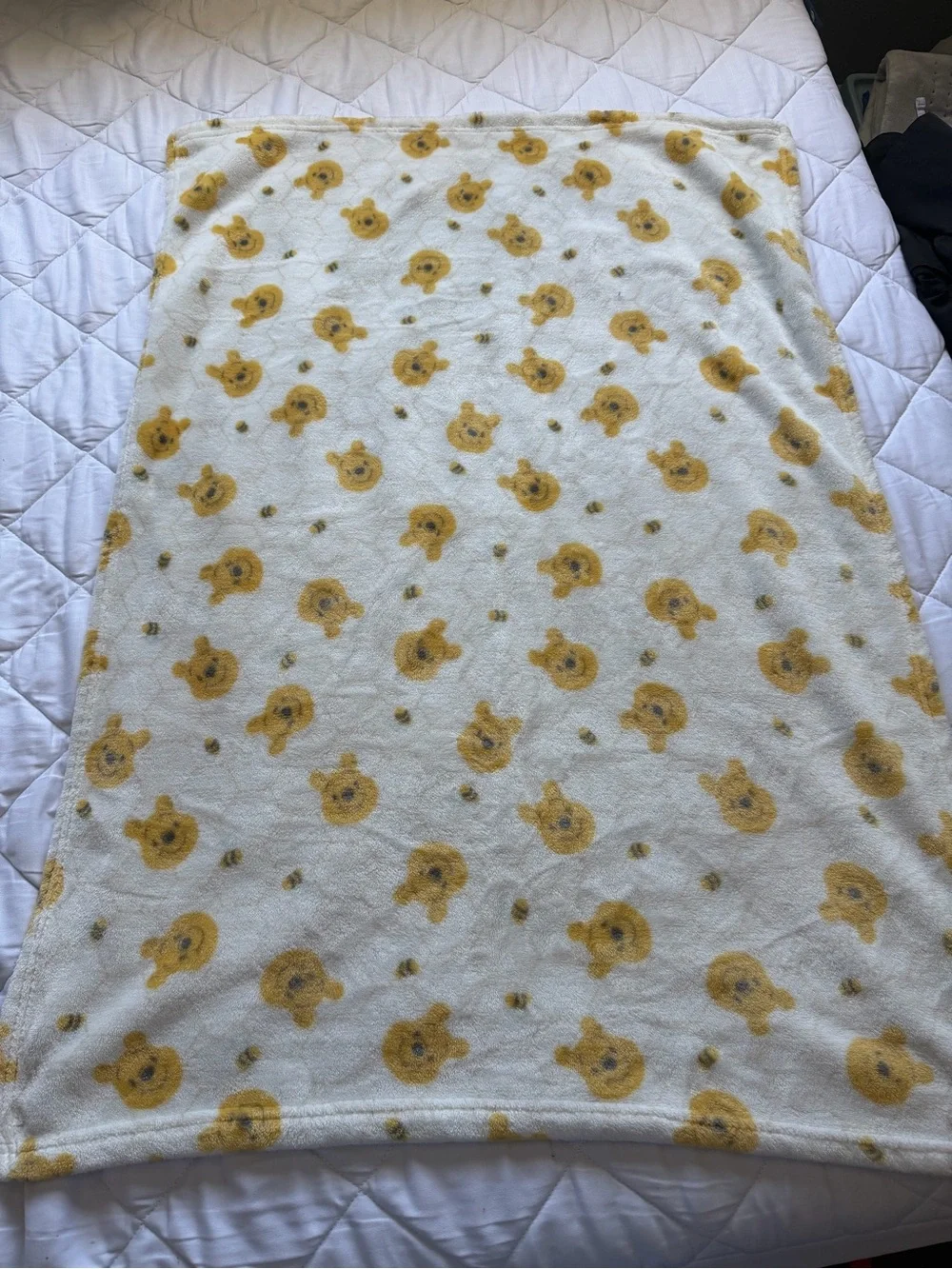 Plush White Teddy Bear Print Baby Blanket - Soft Nursery Throw Winnie the Pooh